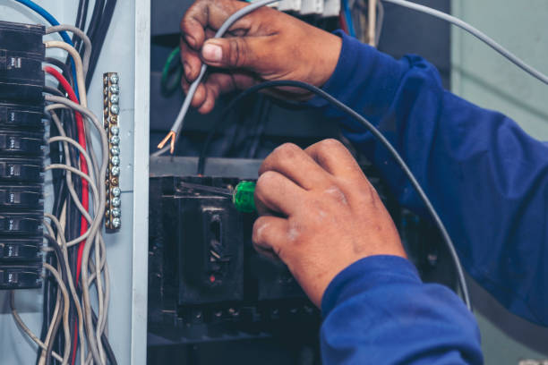 Best Affordable Electrician  in Whitmore Lake, MI